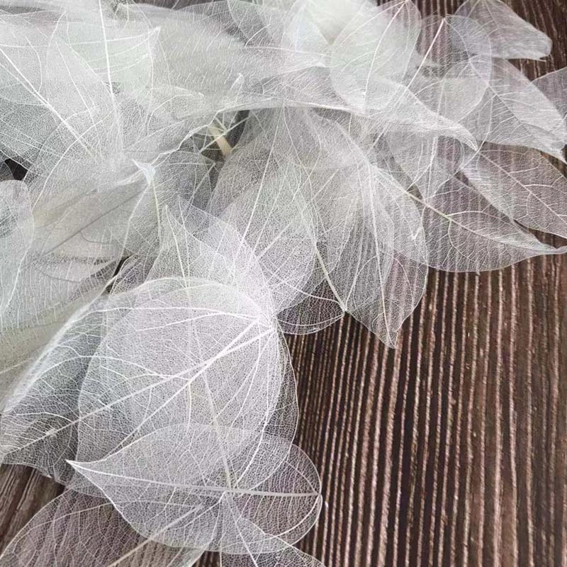 Dried Flower Bouquet - 5 ~ 9 cm * 2