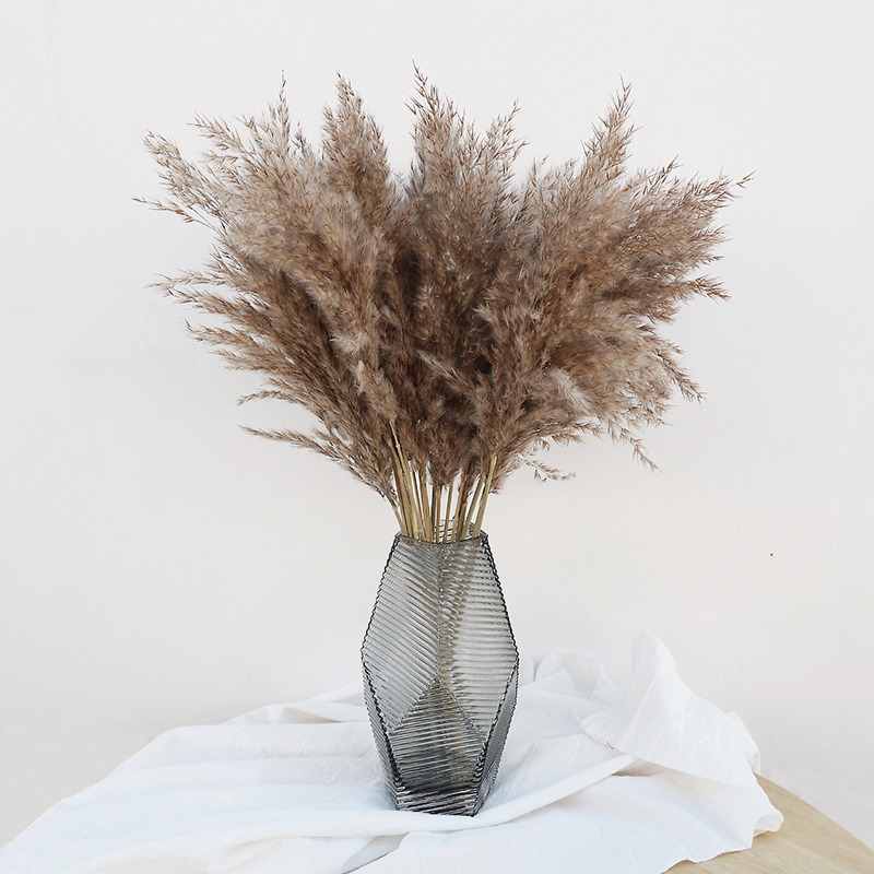 Dried Flower Bouquet - 10 Stück Bunte Natürliche Schilfgräser Pampasgras