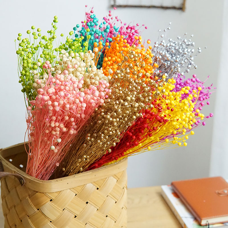 35 g/konservierte Ormosia Hosi – Dried Flower Bouquet Bewertung und Preis