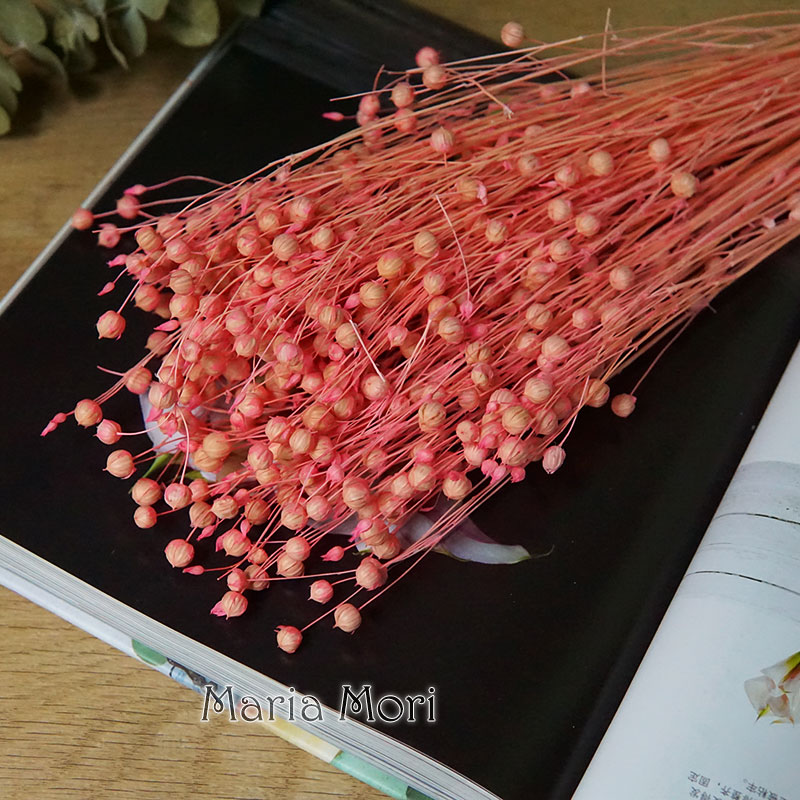 35 g/konservierte Ormosia Hosi – Dried Flower Bouquet Bewertung und Preis