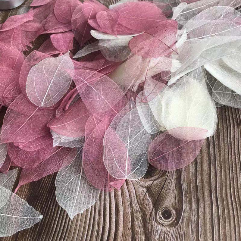 5 ~ 9 cm * 2 ~ 3,5 cm, 100 Tei – Dried Flower Bouquet Bewertung und Preis