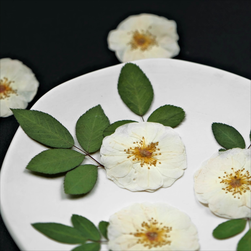 6 Stück, 9 Stück, natürliche w – Dried Flower Bouquet Bewertung und Preis