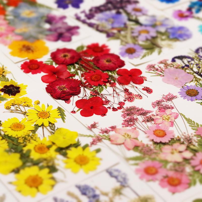 Echte Natürliche Gepresste Get – Dried Flower Bouquet Bewertung und Preis