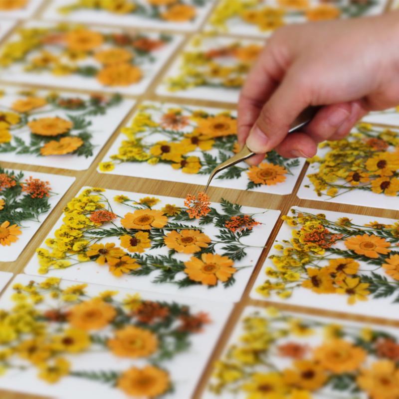 Echte Natürliche Gepresste Get – Dried Flower Bouquet Bewertung und Preis
