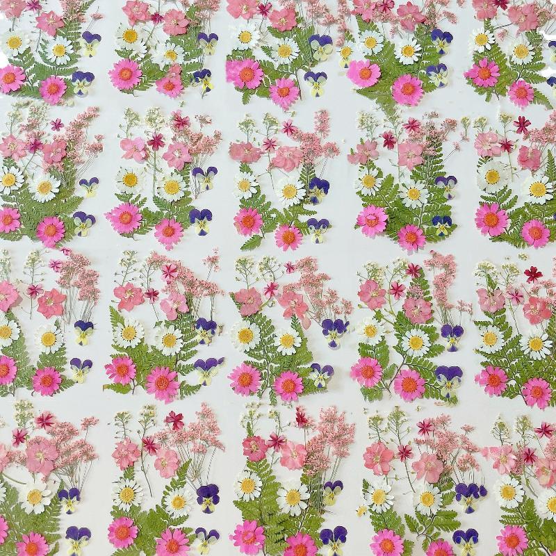 Echte Natürliche Gepresste Get – Dried Flower Bouquet Bewertung und Preis