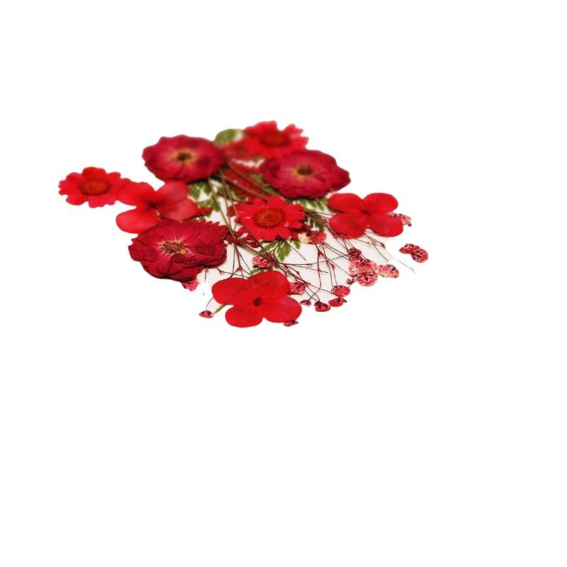 Echte Natürliche Gepresste Get – Dried Flower Bouquet Bewertung und Preis