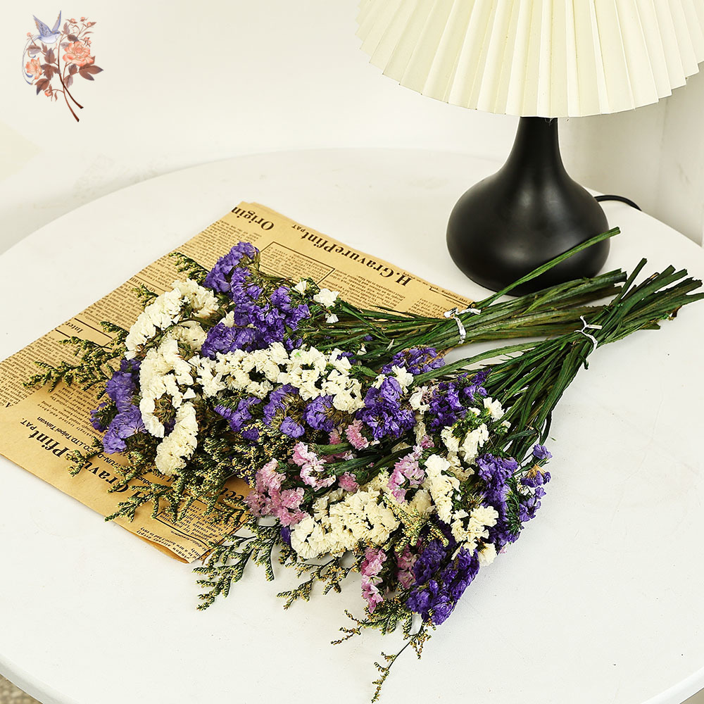 100 g natürliche echte vergiss – Dried Flower Bouquet Bewertung und Preis