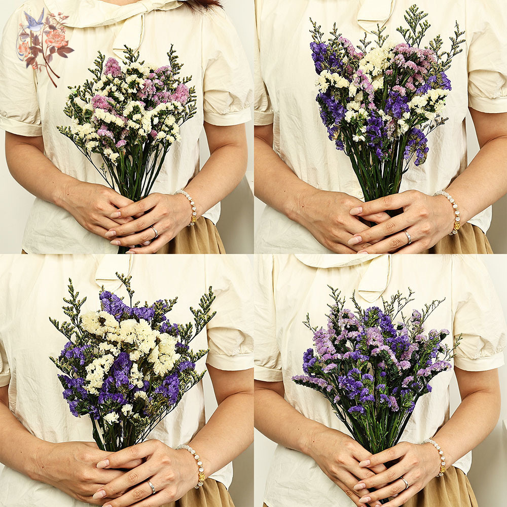 100 g natürliche echte vergiss – Dried Flower Bouquet Bewertung und Preis