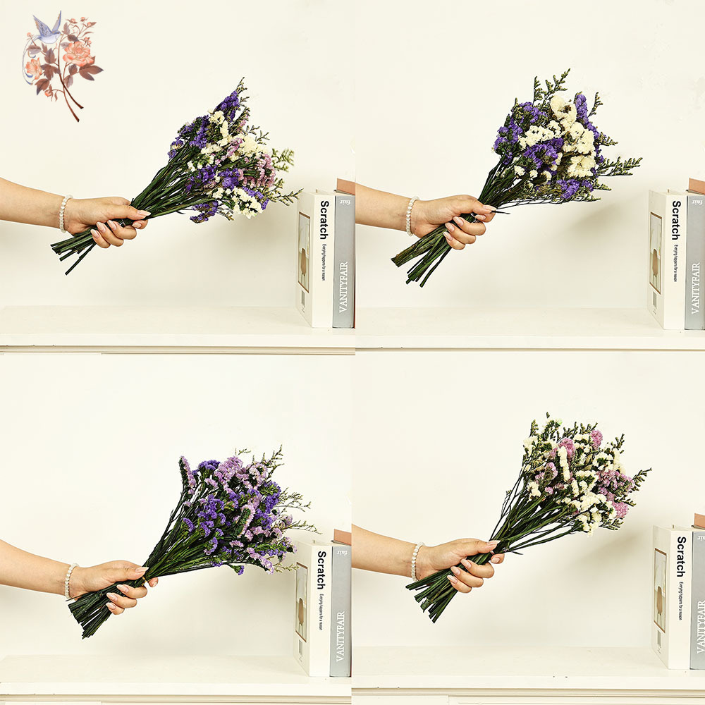 100 g natürliche echte vergiss – Dried Flower Bouquet Bewertung und Preis