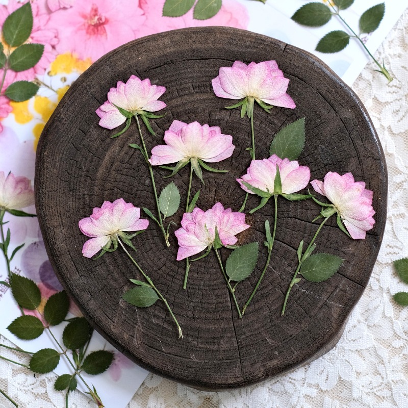 12 Stück, echte getrocknete ge – Dried Flower Bouquet Bewertung und Preis