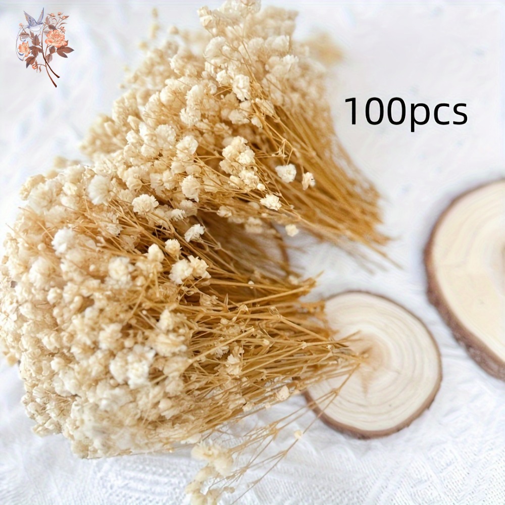 100 Stück Mini Getrocknete Sch – Dried Flower Bouquet Bewertung und Preis
