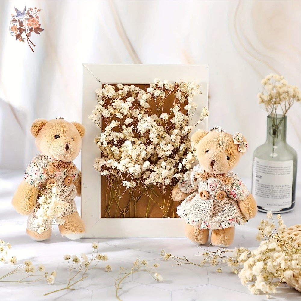 100 Stück Mini Getrocknete Sch – Dried Flower Bouquet Bewertung und Preis