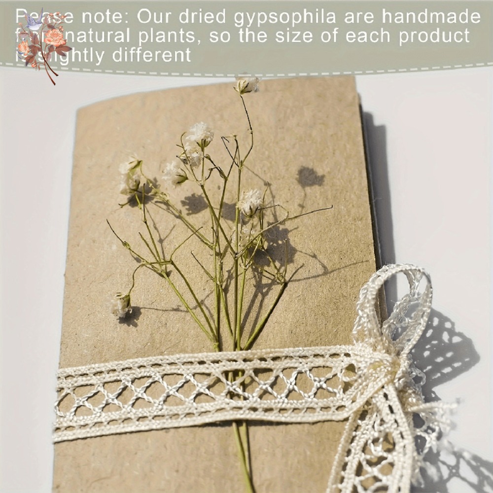 100 Stück Mini Getrocknete Sch – Dried Flower Bouquet Bewertung und Preis